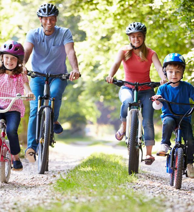 Familie ist mit den Fahrrädern im Wald unterwegs