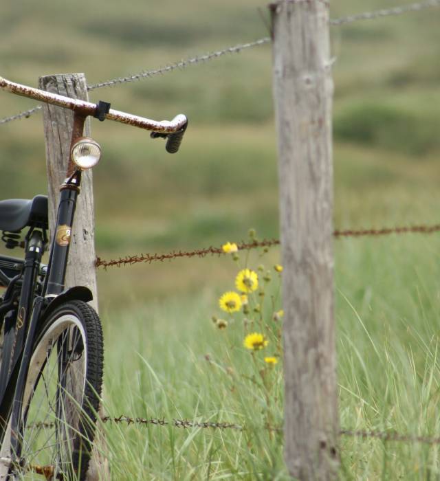 Ein altes Fahrrad steht angelehnt an einen Zaun