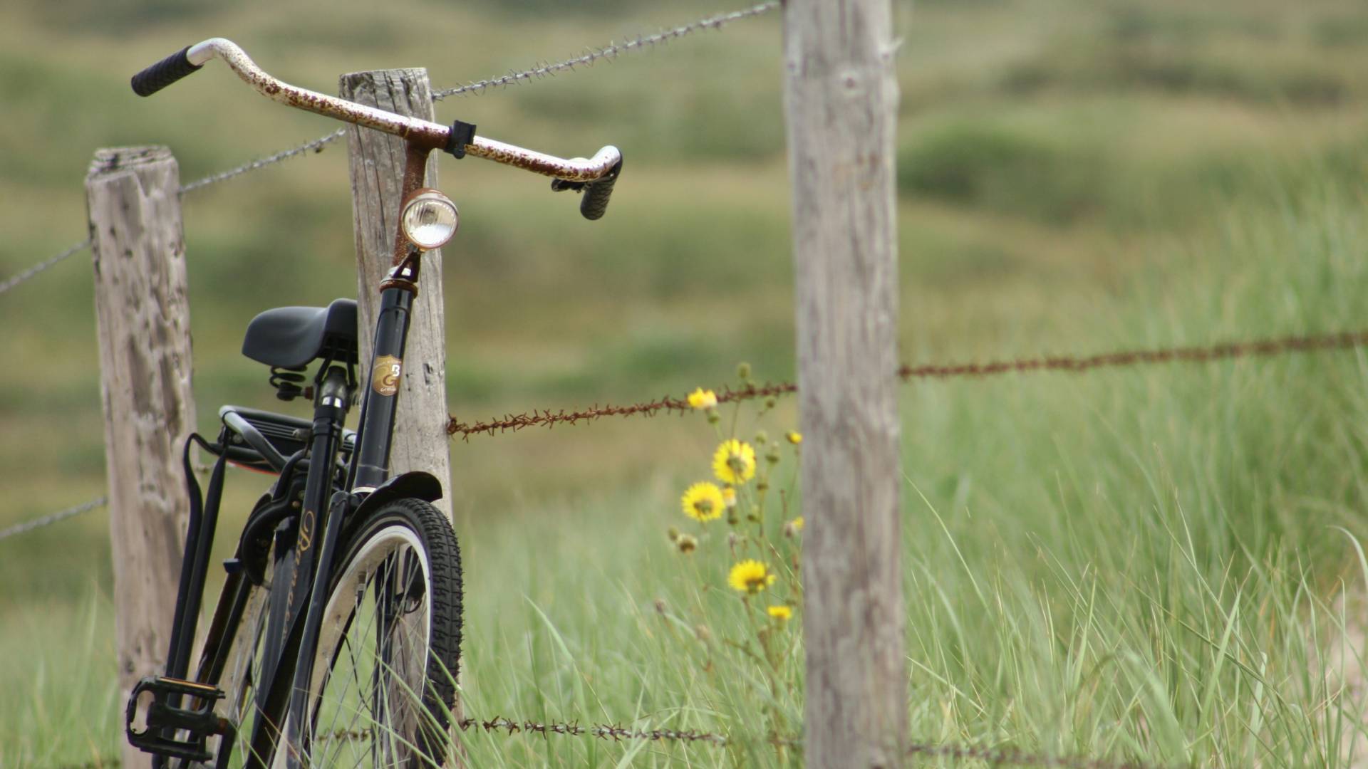 Ein altes Fahrrad steht angelehnt an einen Zaun