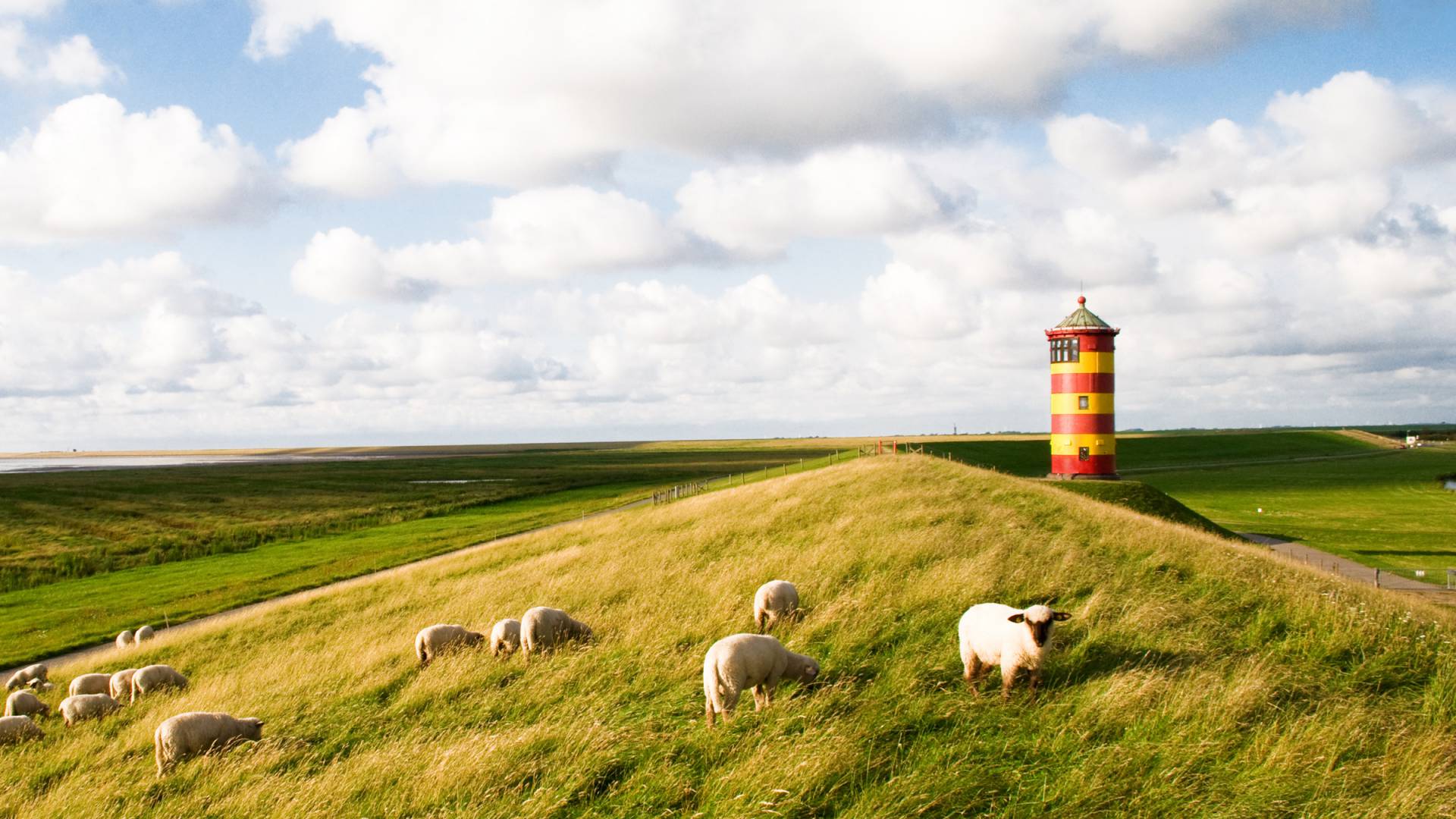 Schafe auf einer Grasdüne mit einem Friesischen Leuchtturm im Hintergrund